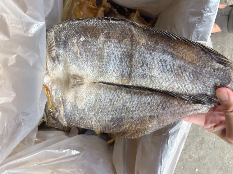 黑鱼肉片地摊电商批发黑鱼肉片生鱼肉片鱼干干鱼水产干货