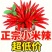 精品小米红尖椒今日报价适合电商超市加工厂各大市场请联系