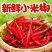精品小米红尖椒今日报价适合电商超市加工厂各大市场请联系