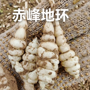 宝塔菜
