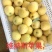 《山东苹果》潍坊维纳斯黄金苹果/口感香甜，价格便宜可代发