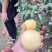 《山东苹果》潍坊维纳斯黄金苹果/口感香甜，价格便宜可代发