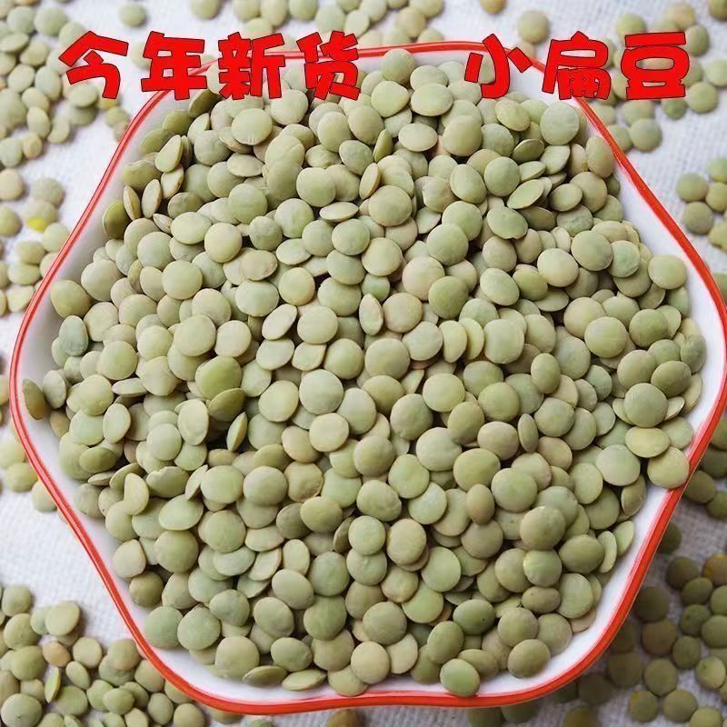新小扁豆农家自种扁豆兵豆甘肃特产扁豆子可生豆芽五谷杂粮粗