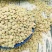 新小扁豆农家自种扁豆兵豆甘肃特产扁豆子可生豆芽五谷杂粮粗