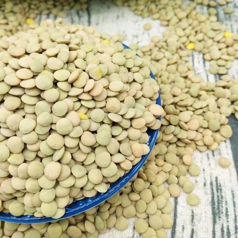 新小扁豆农家自种扁豆兵豆甘肃特产扁豆子可生豆芽五谷杂粮粗
