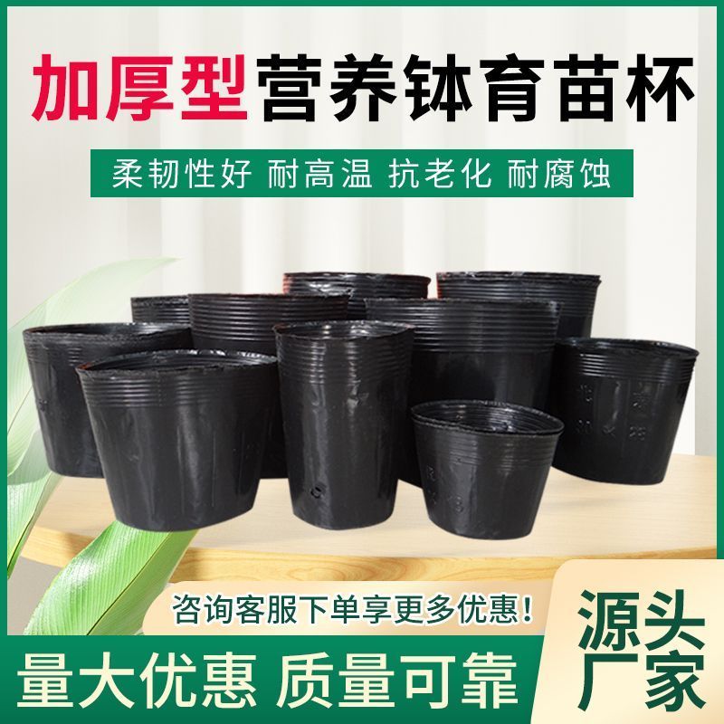 营养钵育苗袋育苗杯育苗盆营养袋