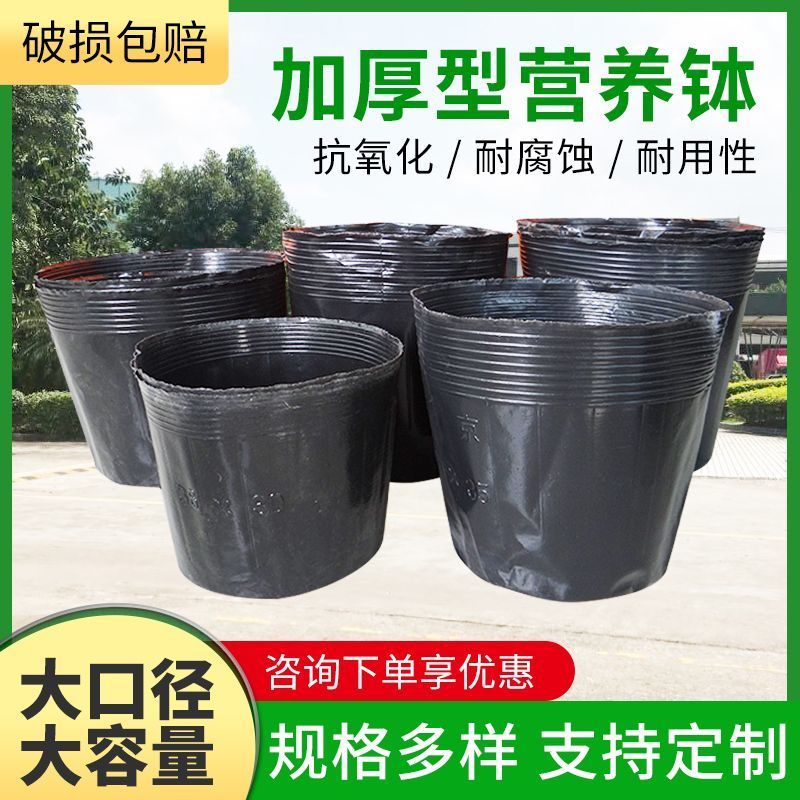 营养钵育苗袋育苗杯育苗盆营养袋