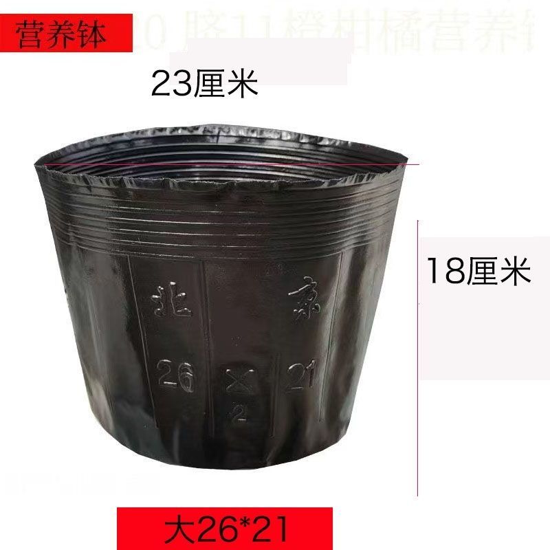 营养钵育苗袋育苗杯育苗盆营养袋