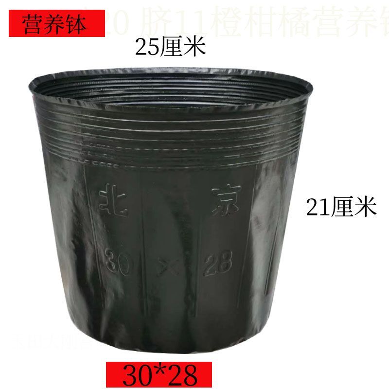 营养钵育苗袋育苗杯育苗盆营养袋