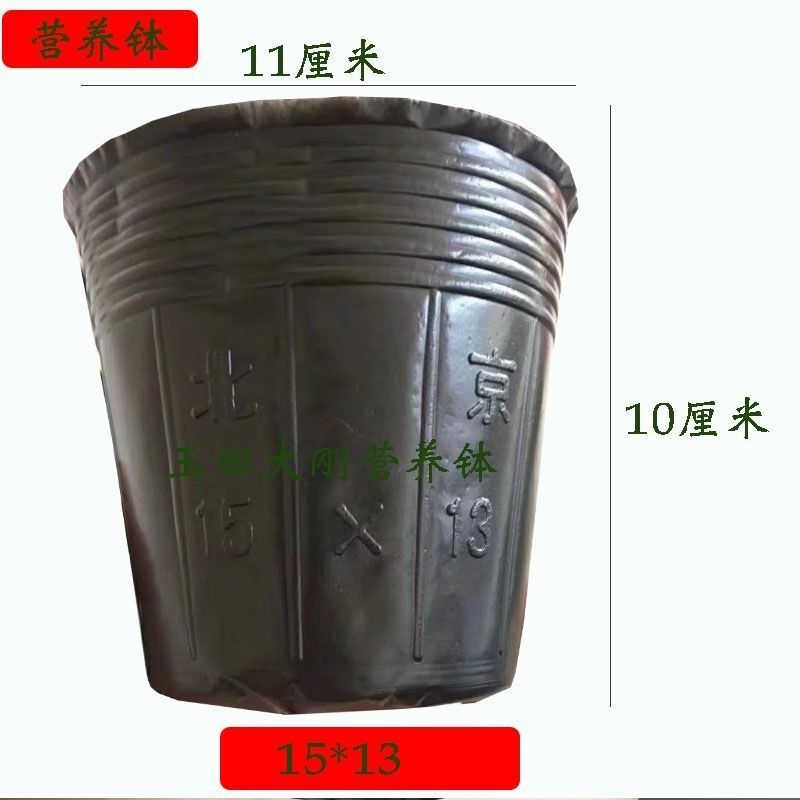 营养钵育苗袋育苗杯育苗盆营养袋
