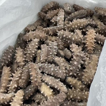 好口感即食海参