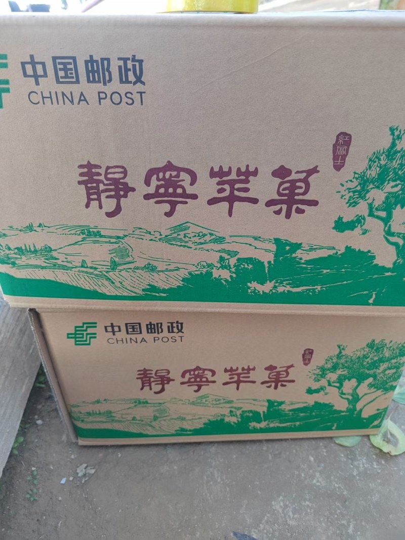 静宁山地红富士