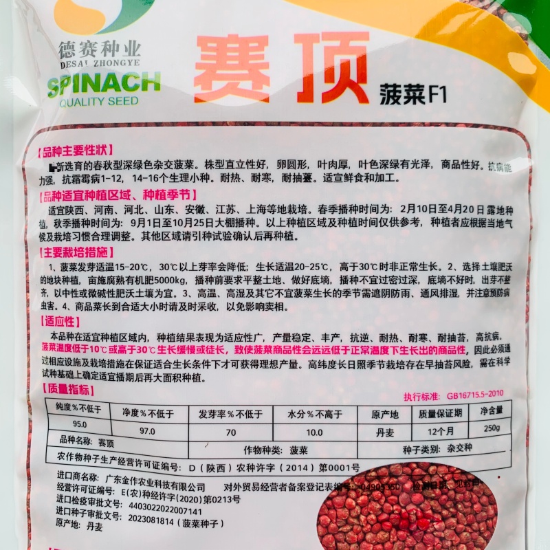 德赛杂交菠菜种子丹麦赛顶菠菜种子深绿色直立菠菜种籽春秋