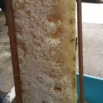 蜂蜜