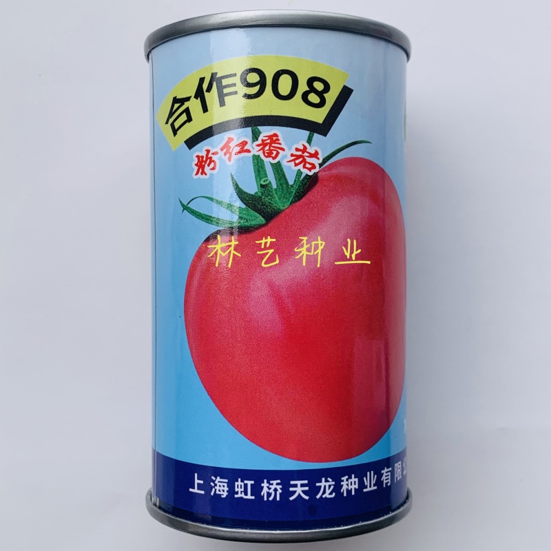 合作908粉红番茄种子中早熟无限生长西红柿种籽蔬菜