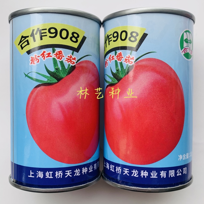 合作908粉红番茄种子中早熟无限生长西红柿种籽蔬菜