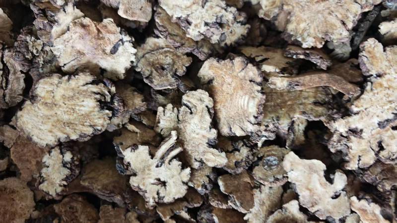 川芎！过0.4筛，无硫。可视频看货，量大价格可优惠！