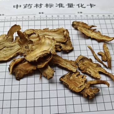 当归，产地岷县！大量供应！产地直发！量大可优惠！