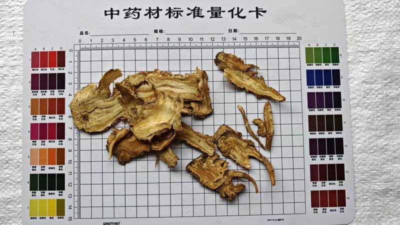 当归，产地岷县！大量供应！产地直发！量大可优惠！