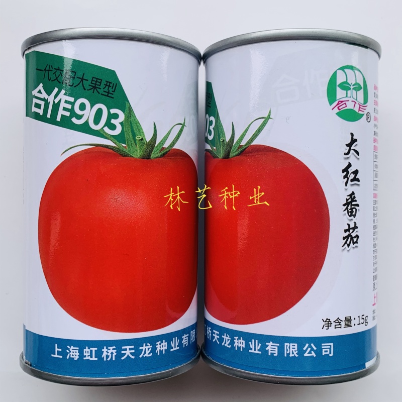 合作903大红番茄种子高圆型抗病强早熟适广性强有限生长