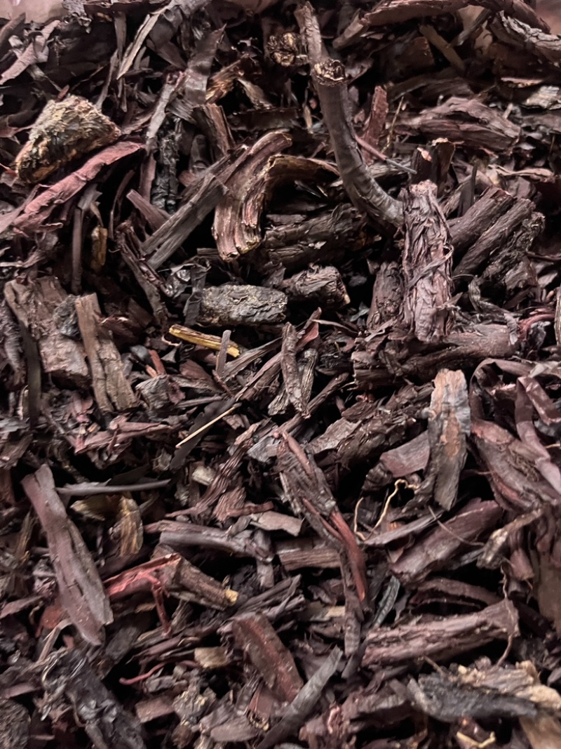 紫草新疆紫草中药材软紫草新货紫丹茸野紫草