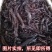 紫草新疆紫草中药材软紫草新货紫丹茸野紫草