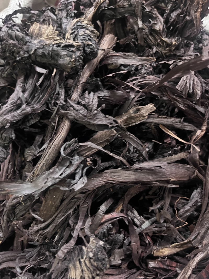 紫草新疆紫草中药材软紫草新货紫丹茸野紫草