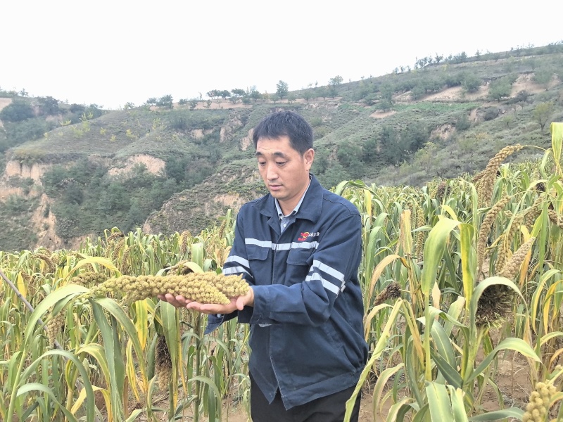 小米袋装