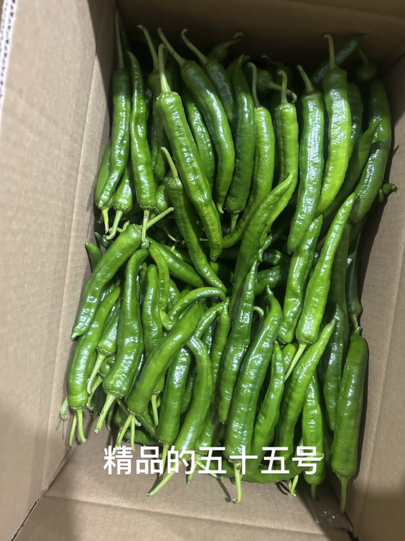 优质高原辣椒，品质优良，产品质量好
