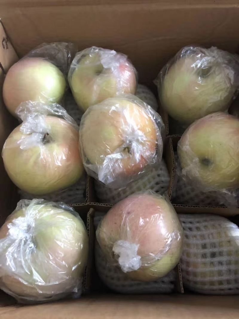 陕西红富士苹果现摘产地直发膜袋红富士脆甜