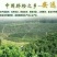 正宗江西赣南脐橙香甜可口营养丰富现摘现卖批发零售量大从优