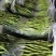 贵州无筋豆大量上市中，欢迎老板下单