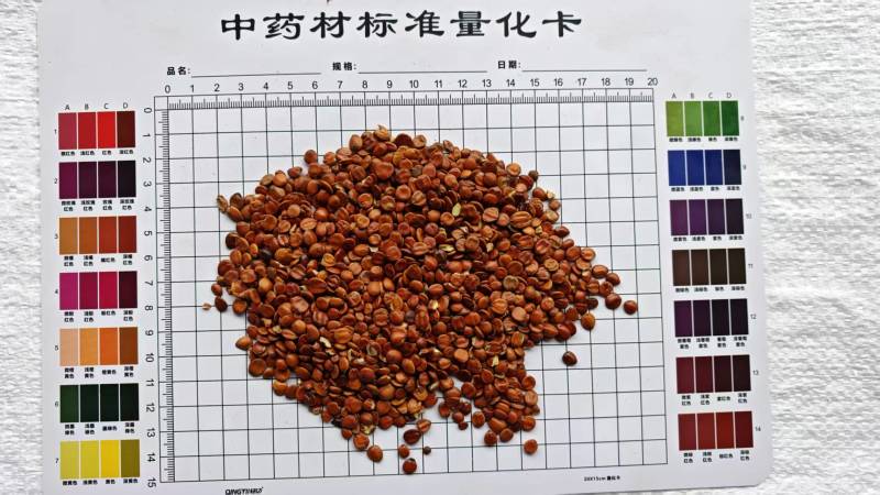 理枣仁，无壳！一手货源，大量供应！批发量大价优！