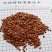 理枣仁，无壳！一手货源，大量供应！批发量大价优！