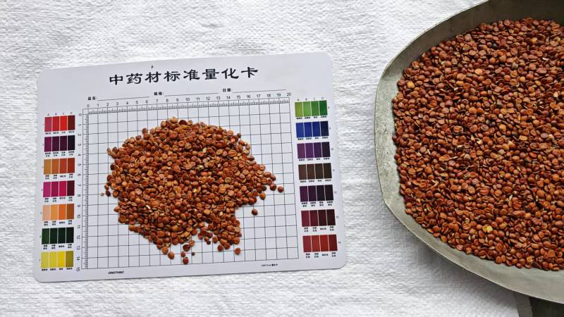 理枣仁，无壳！一手货源，大量供应！批发量大价优！