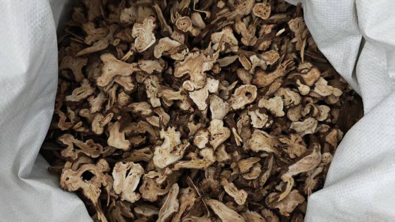 白术！浙江二年生长期，无硫磺！过0.6筛。批发量大价格优