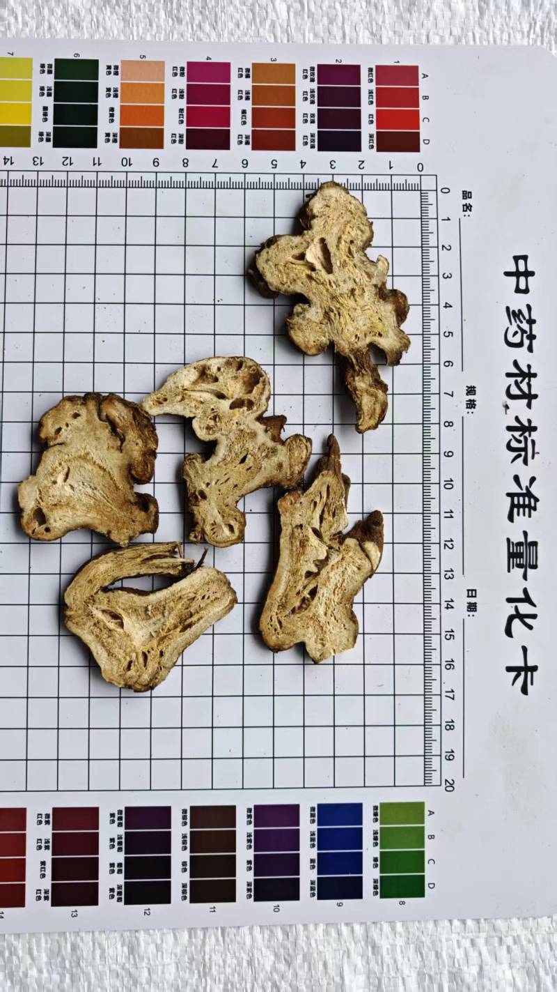 白术！浙江二年生长期，无硫磺！过0.6筛。批发量大价格优