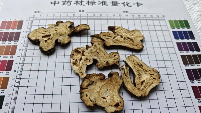 白术！浙江二年生长期，无硫磺！过0.6筛。批发量大价格优
