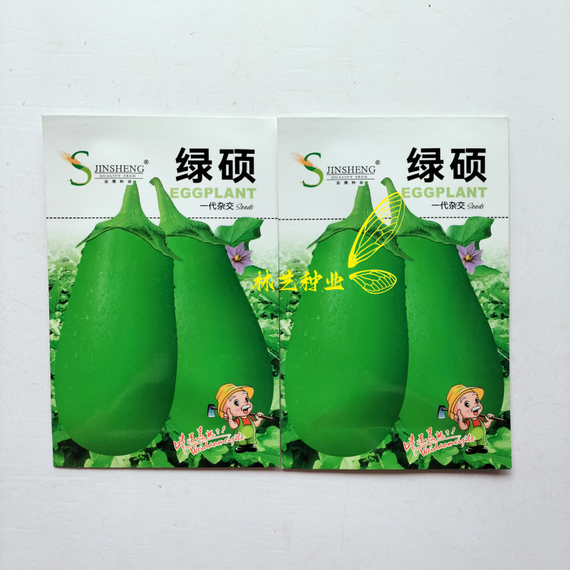 绿硕一代杂交中早熟绿茄种子颜色嫩绿果实籽少果肉口感绵软耐