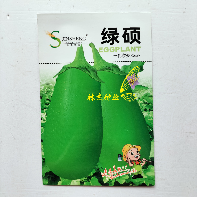 绿硕一代杂交中早熟绿茄种子颜色嫩绿果实籽少果肉口感绵软耐