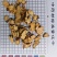 苍术，带朱砂点。长期大货供应！过0.4筛，量大可优惠！