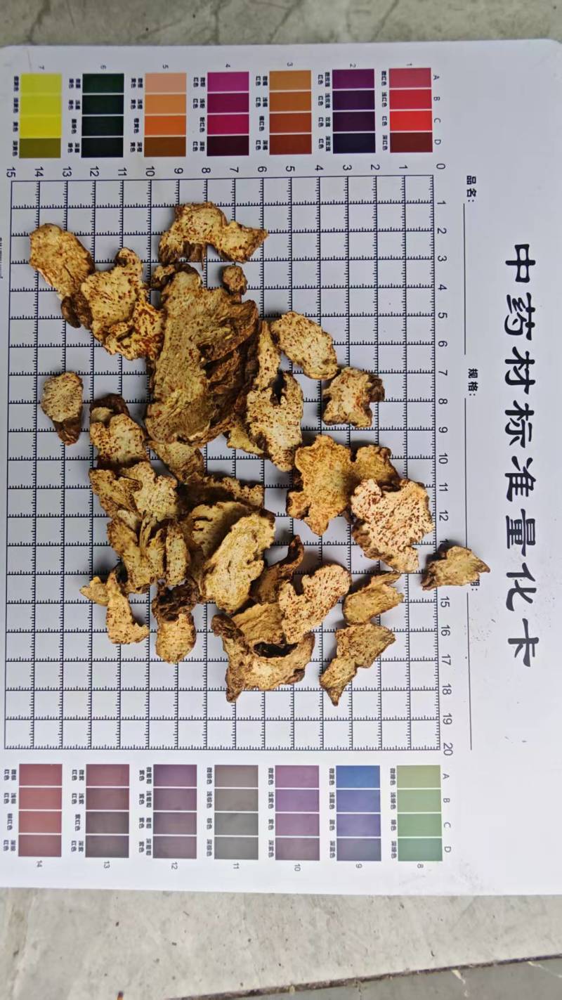 苍术，带朱砂点。长期大货供应！过0.4筛，量大可优惠！