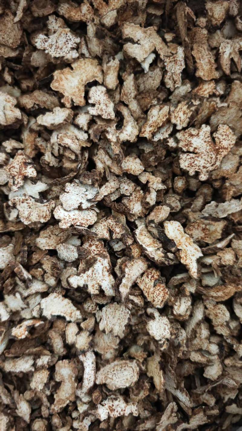 苍术，带朱砂点。长期大货供应！过0.4筛，量大可优惠！
