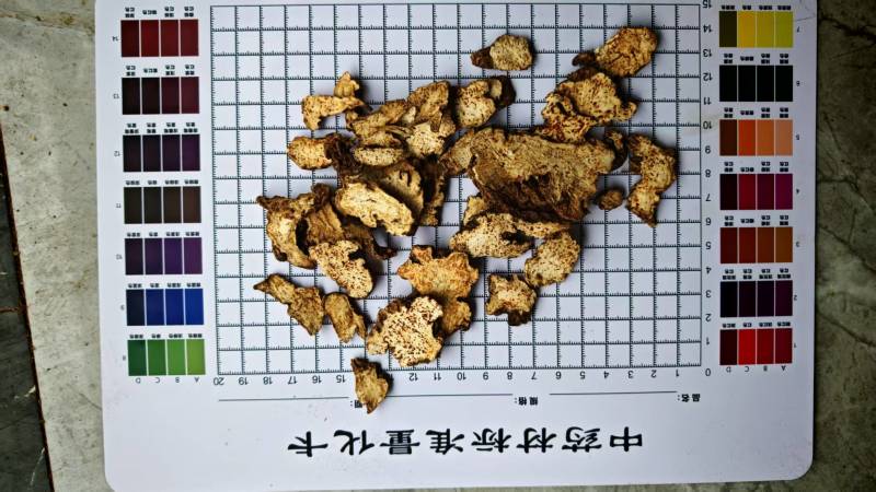 苍术，带朱砂点。长期大货供应！过0.4筛，量大可优惠！