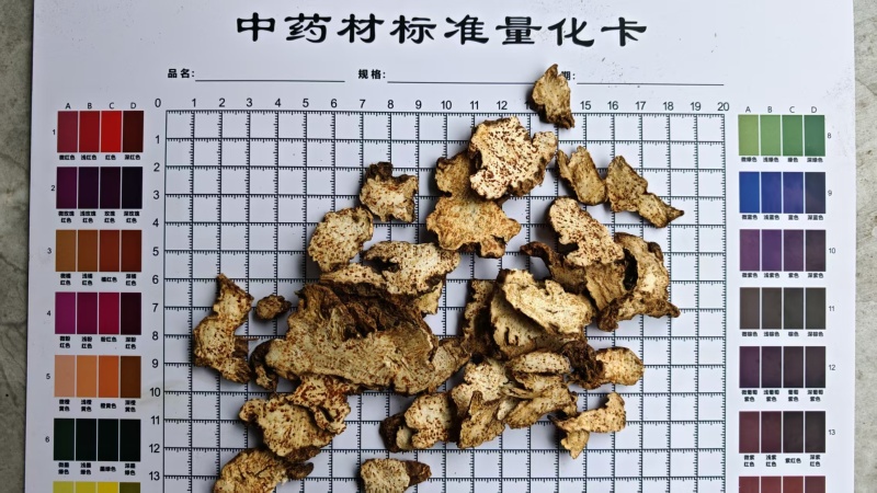 苍术，带朱砂点。长期大货供应！过0.4筛，量大可优惠！