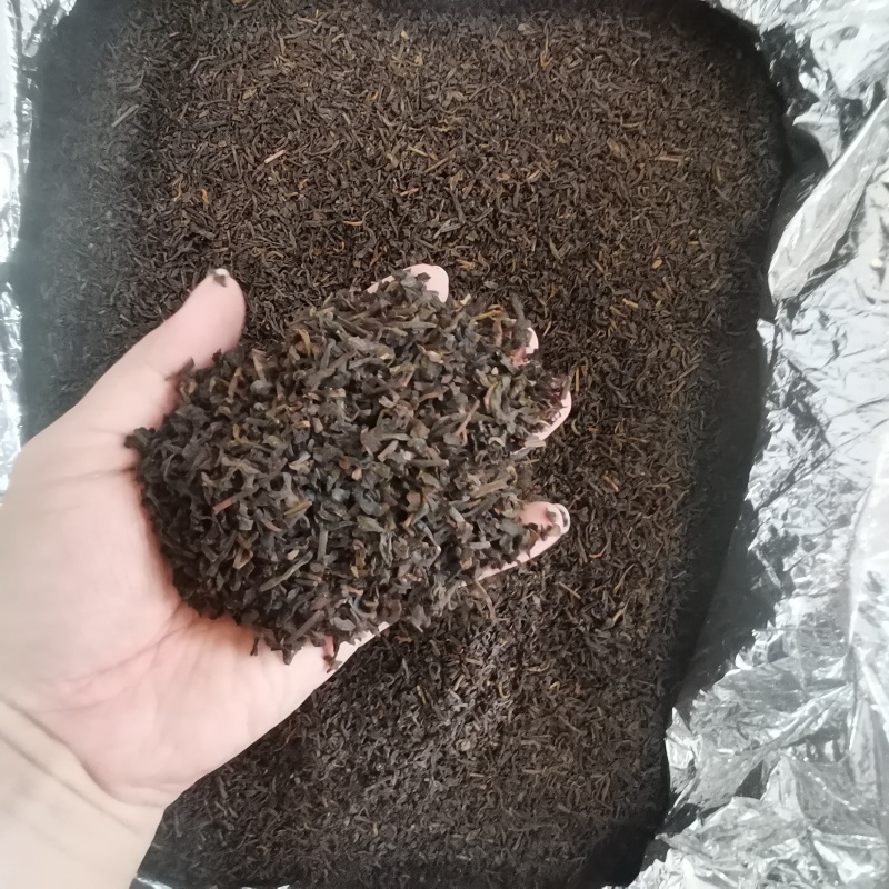 六堡茶