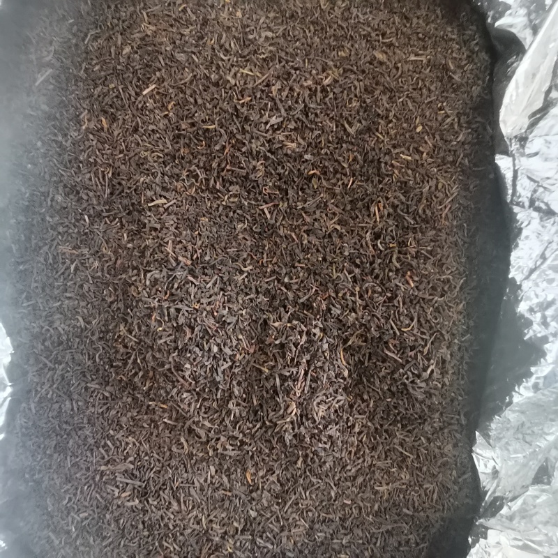 六堡茶