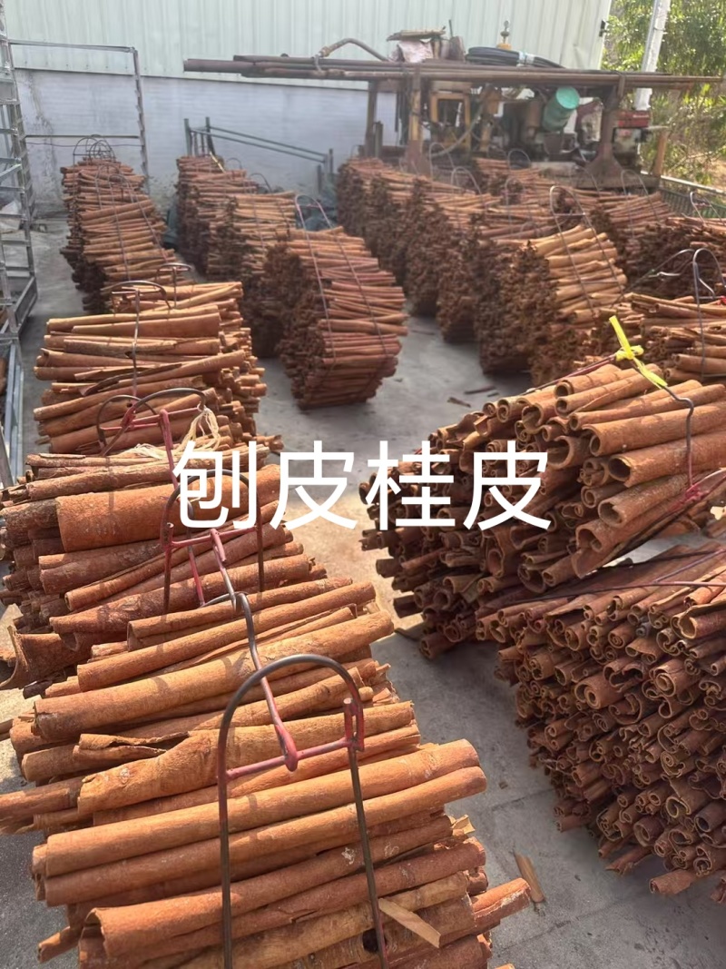 广西肉桂现货现发货源充足可视频看货欢迎下单
