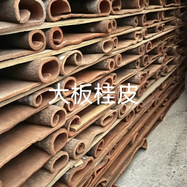 广西肉桂现货现发货源充足可视频看货欢迎下单
