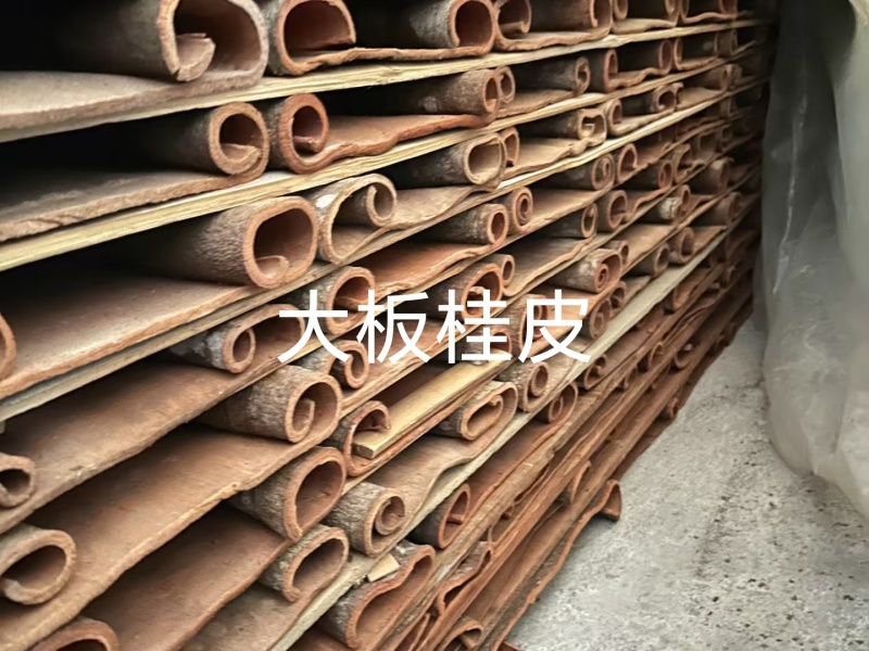 广西肉桂现货现发货源充足可视频看货欢迎下单